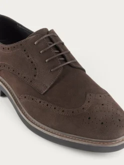 New BLUCHER PICADO MARRÓN Hombre Vestir