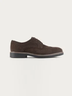 New BLUCHER PICADO MARRÓN Hombre Vestir