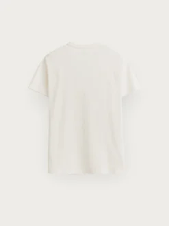 CAMISETA BASICA Hombre Camisetas