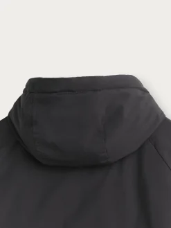 Best CAZADORA BALMER Hombre Cazadoras Y Parkas