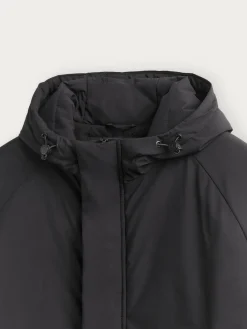 Best CAZADORA BALMER Hombre Cazadoras Y Parkas