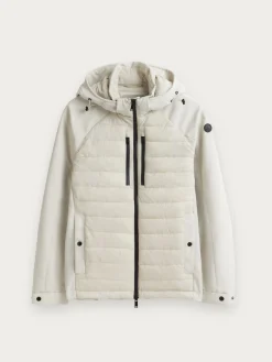 CAZADORA PAUL Hombre Cazadoras Y Parkas