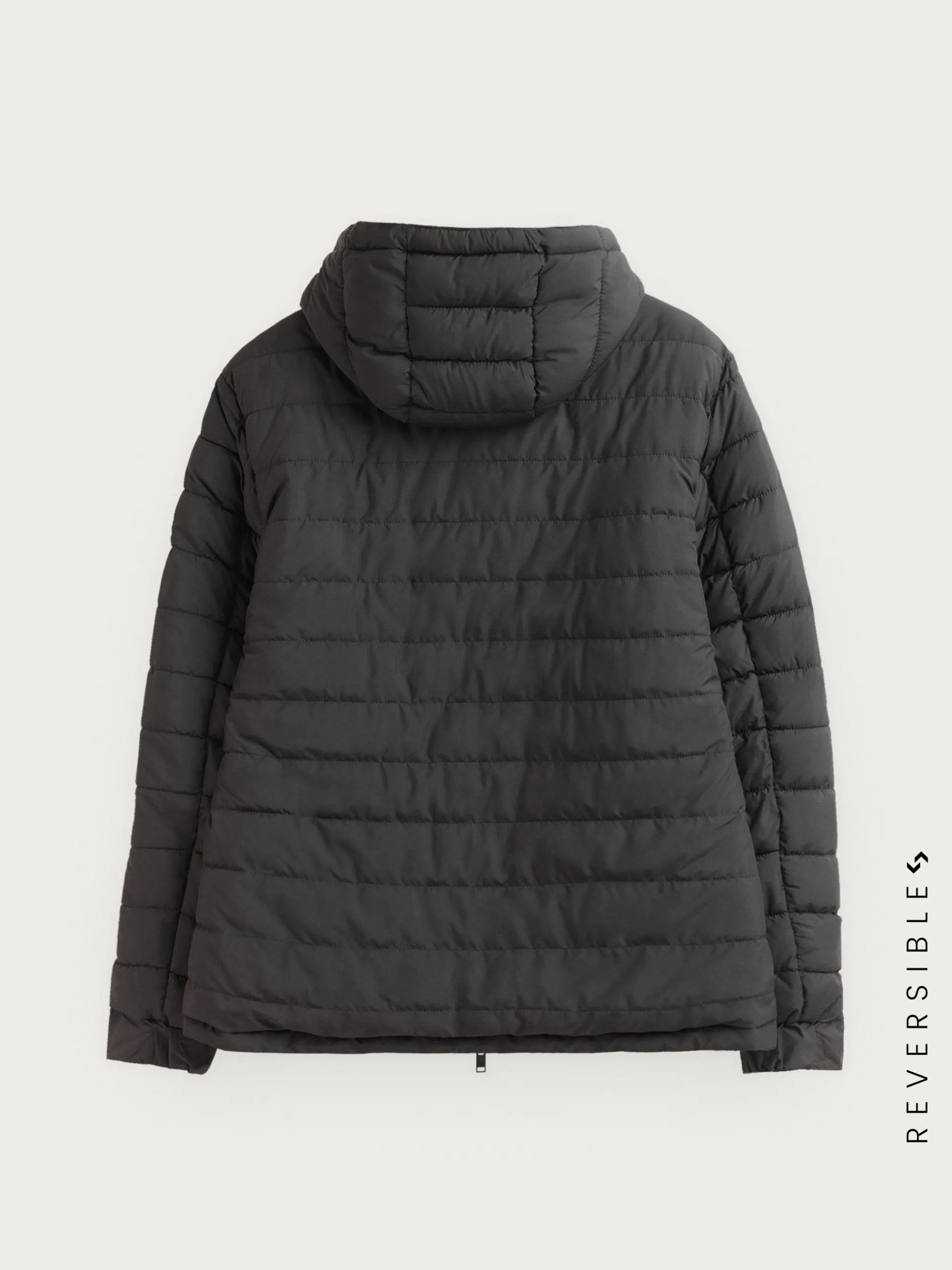 Outlet CAZADORA RATCHED REVERSIBLE | MARRÓN Hombre Cazadoras Y Parkas