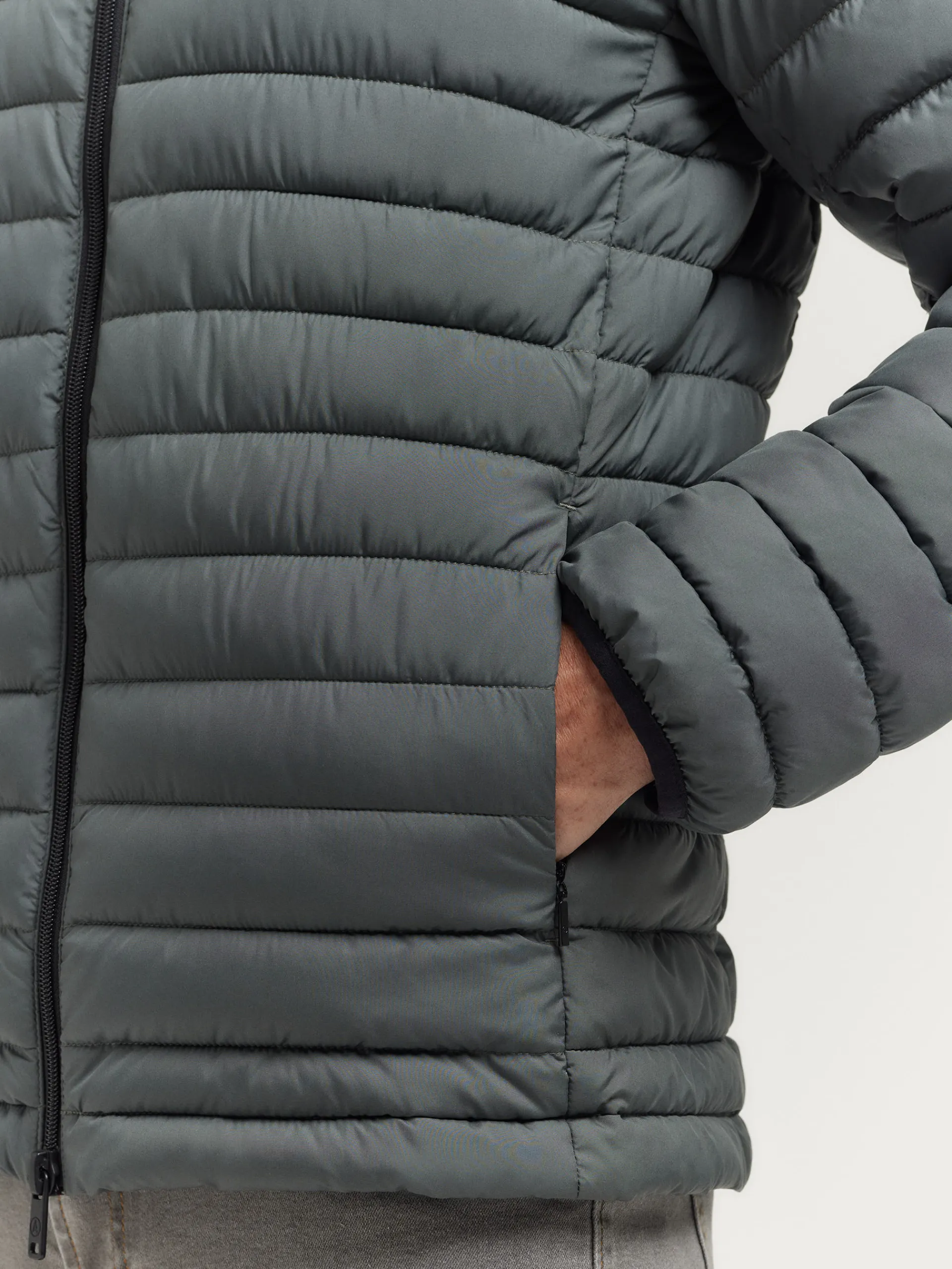 Sale CAZADORA TROUT Hombre Cazadoras Y Parkas