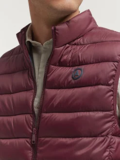 Best CHALECO MORRISON Hombre Chalecos