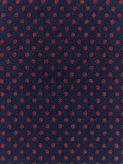 Online FOULARD PRINT Hombre Foulares