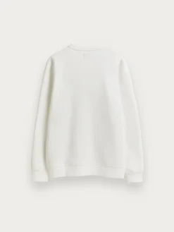 SUDADERA FLORIDA Hombre Sudaderas