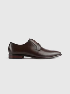 New ZAPATO OXFORD MARRÓN Hombre Vestir